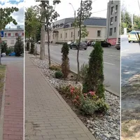 Autoritățile ieșene scot gazonul „pârlit” de soare din oraș pentru a-l înlocui cu pietriș/FOTO: ziaruldeiasi.ro