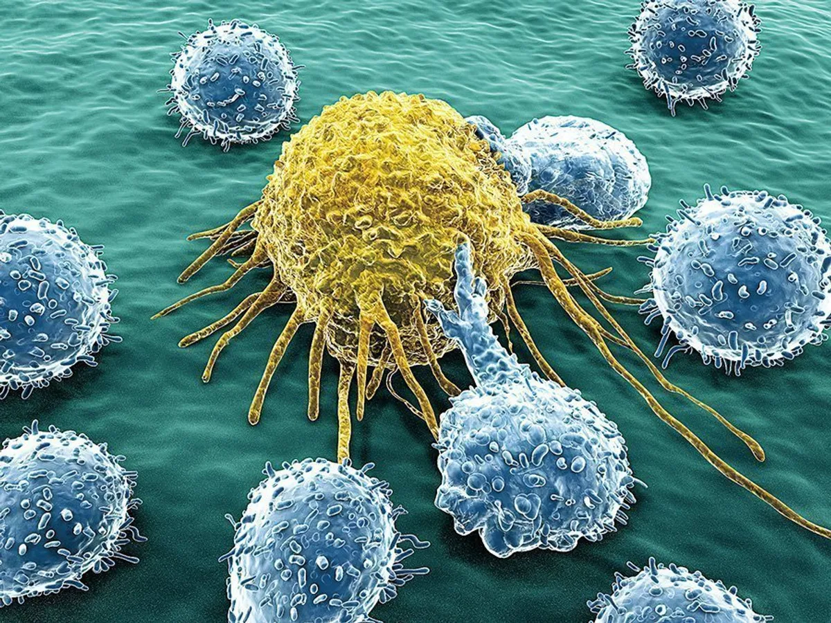 Celulele sistemului imunitar atacă o celulă canceroasă care migrează