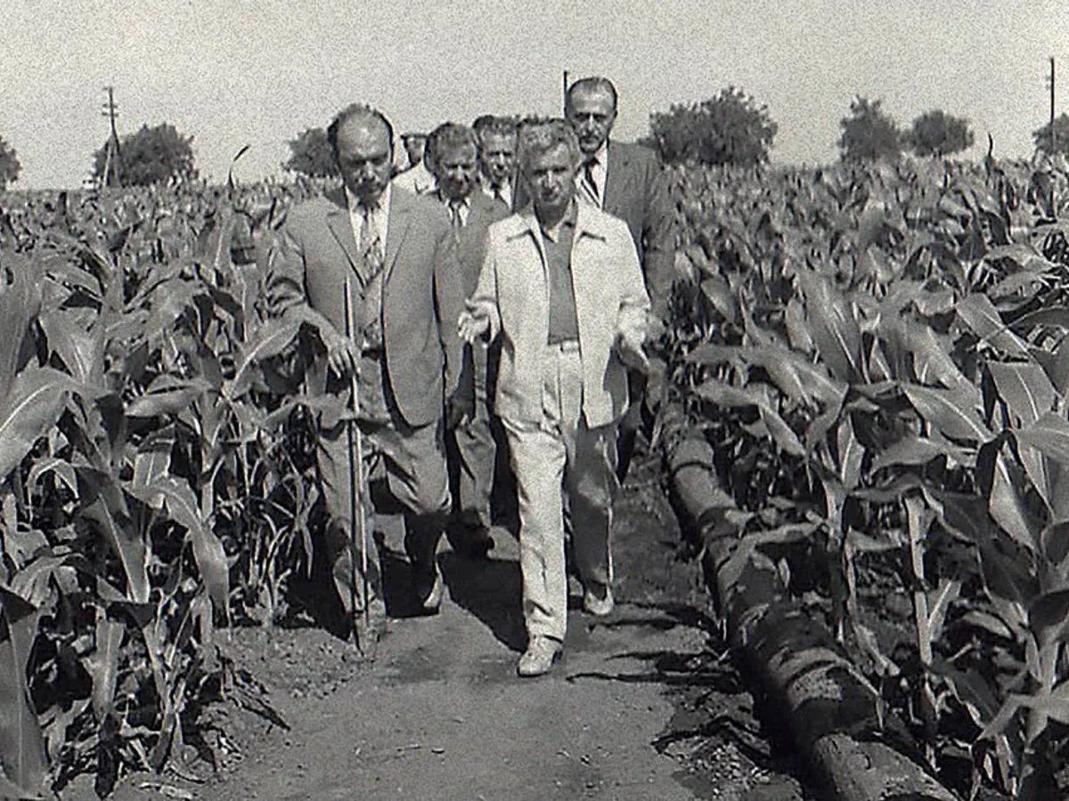 În Agricultură, i se raportau lui Ceaușescu producții total mincinoase