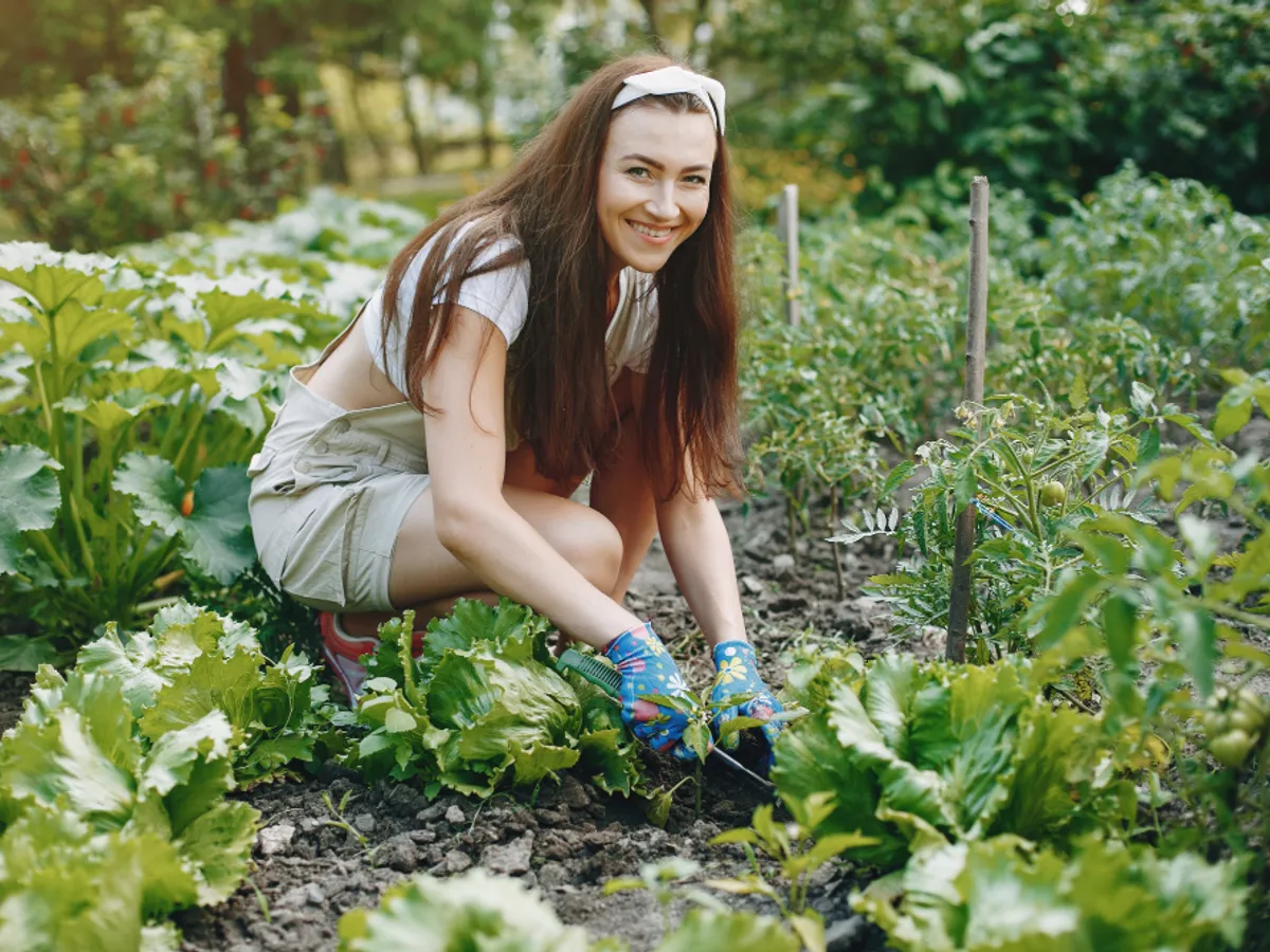 Ce flori trebuie să plantezi în grădină pentru a-ți proteja legumele de dăunători? Plantele cresc sănătoase
