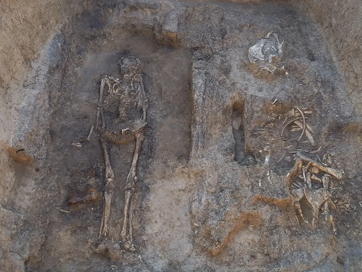 Arheologii au descoperit o înmormântare medievală a unui bărbat cu un cal, un câine - Foto:  Institutul de Arheologie al Academiei Ruse de Științe