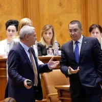 Liviule, asta-i viața! Foto: INQUAM/George Călin