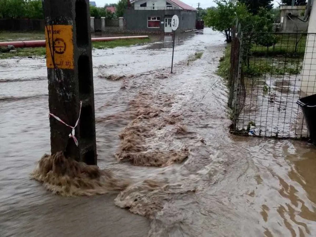 Foto: News.ro