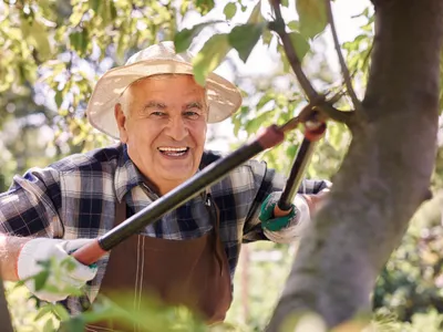 Grădinar care îngrijește un copac - Foto: Freepik (rol ilustrativ)