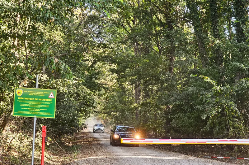 Drumul forestier din Pădurea Băneasa - Foto: Platforma Civică Împreună pentru Centura Verde