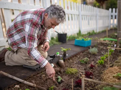 Un bărbat în vârstă se bucură de grădinărit plantând răsaduri în curtea sa - Foto: Pexesls (Imagine cu rol ilustrativ)