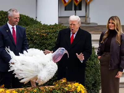 Trump a grațiat un curcan pe nume Gobble de Ziua Recunoștinței - Foto: Profimedia Images