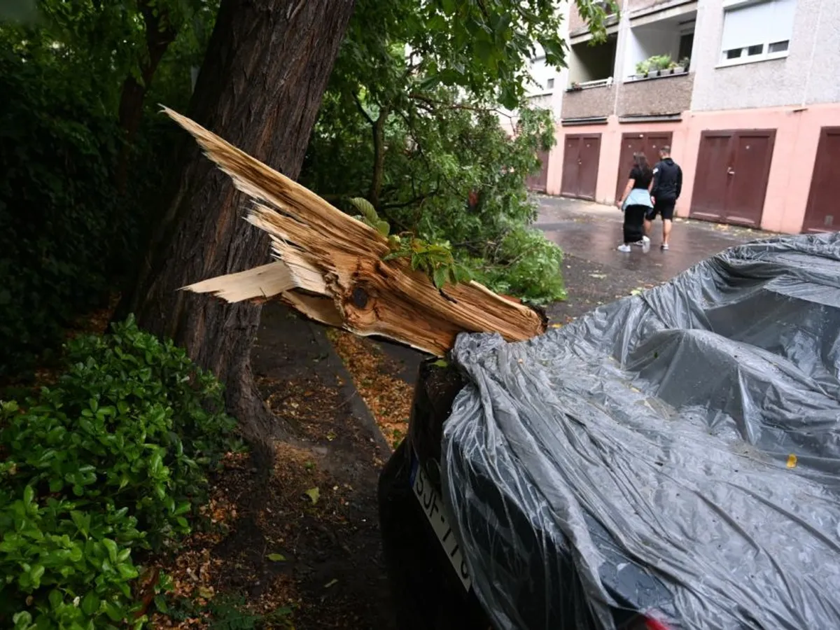 O mașină avariată de un copac căzut, într-o parcare din Districtul 3 al Budapestei - Foto: Profimedia Images