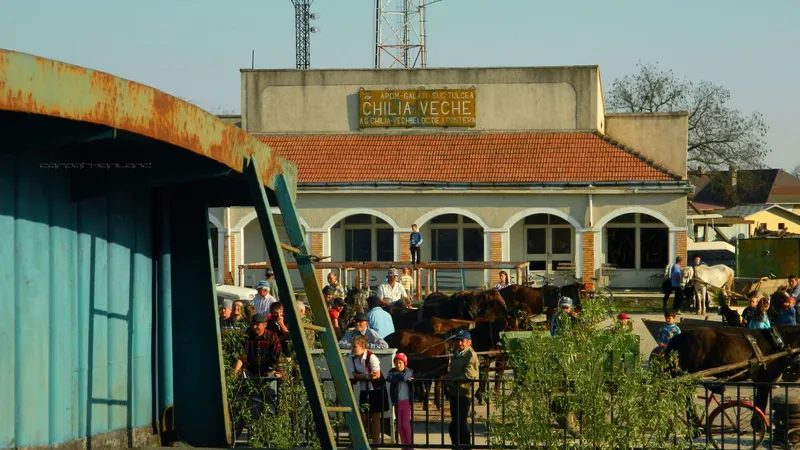 Un glonţ a fost găsit într-o gospodărie din Chilia Veche - Foto: Flickr/CarpathianLand