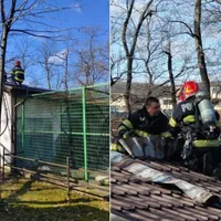 Incendiu puternic la Grădina Zoologică din Râmnicu Vâlcea. Mai multe animale au fost evacuate - Foto: Colaj/ ISU Vâlcea