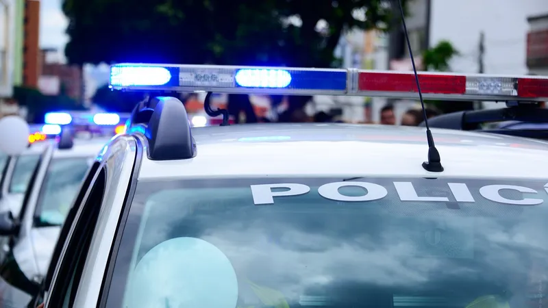 Tânără studentă, spulberată pe trecerea de pietoni de o mașină de poliție aflată în misiune - FOTO: Pixabay