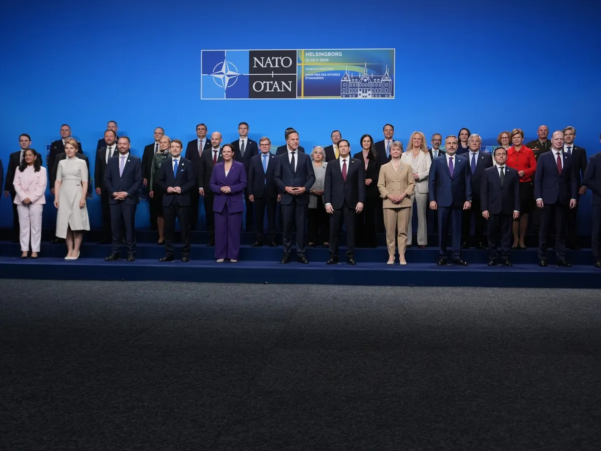 reuniunea nato