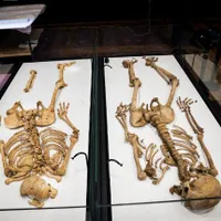 Înrudirea a doi vikingi morţi acum 1000 de ani, în Anglia, respectiv Danemarca, confirmată ADN. / Foto: thelocal.dk