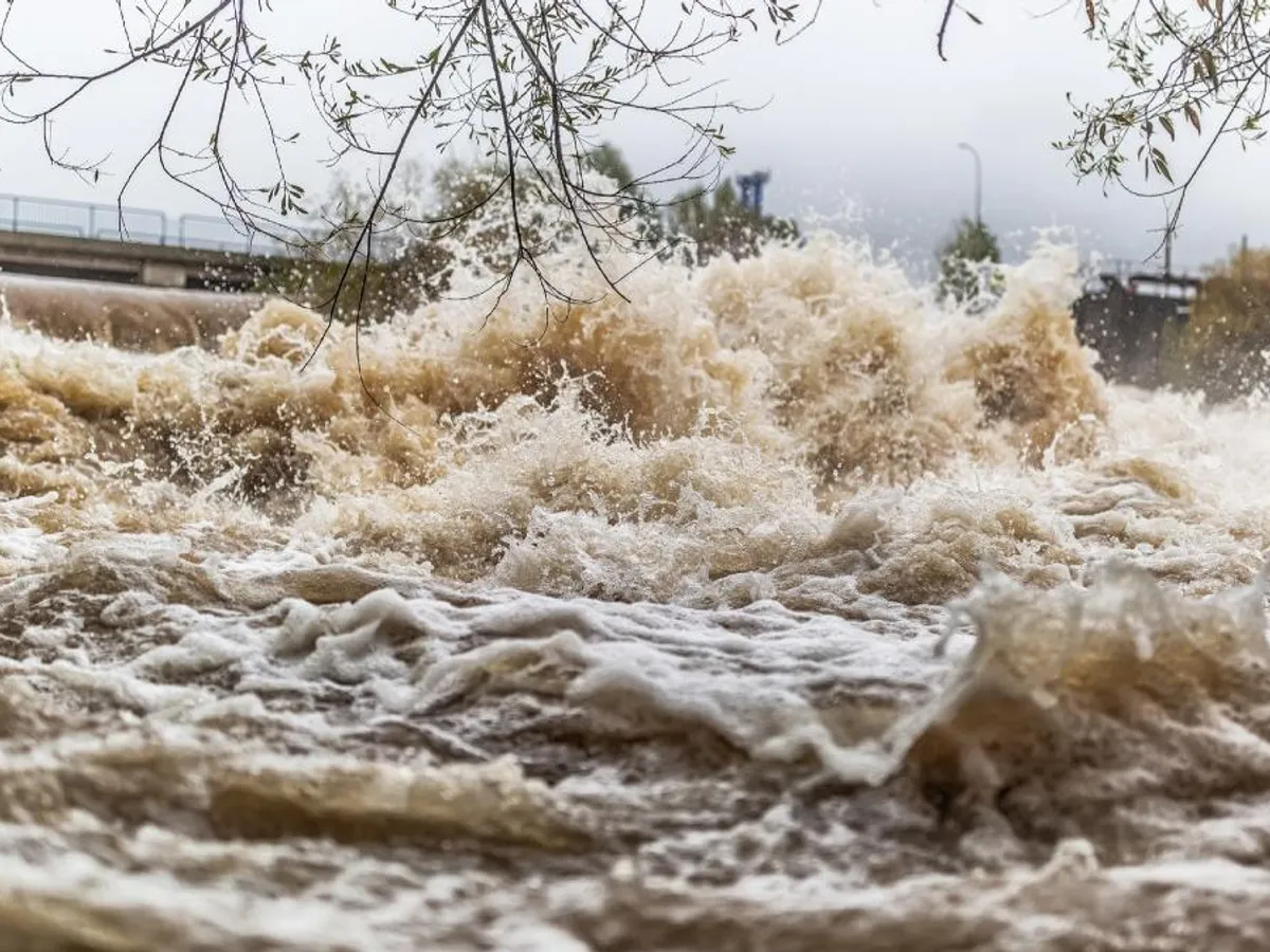 Viituri Foto: Getty Images