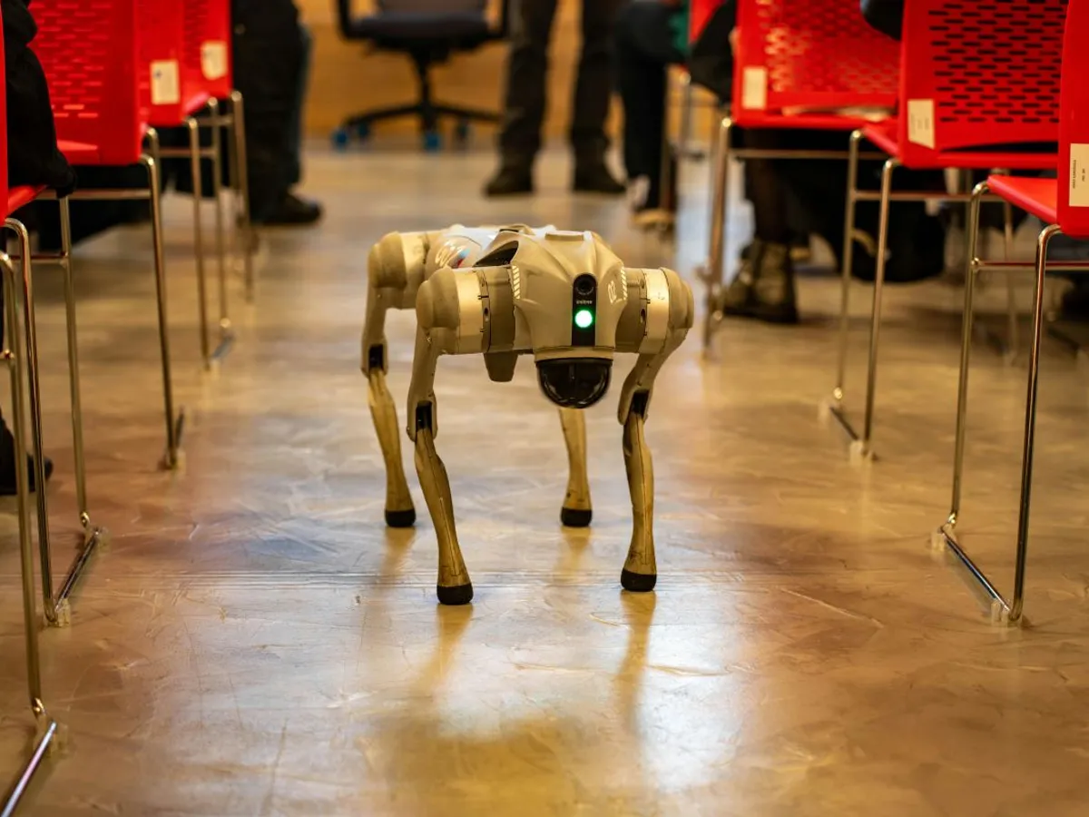 Câine robot patrulând printre scaune roşii - Foto: Pexels/Vladimir Srajber