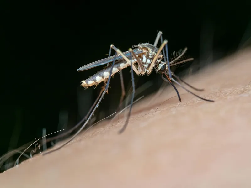 Alertă medicală într-o destinație de vacanță preferată și de români