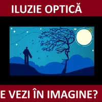 Iluzie optică Foto: Newsweek România/timesnownews.com