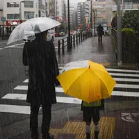 METEO Ploile avansează în toate regiunile țării. Ce temperaturi vor fi în ultimele zile din martie Foto: Freepik (fotografie cu caracter ilsutrativ)