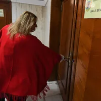 Membrii Comisiei Juridice s-au încuiat cu cheia în sală, de teamă să nu intre Diana Șoșoacă. Foto Agerpres