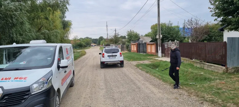Strângere de câini la Mărășești - Foto: FB