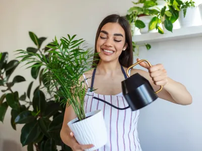 De ce nu trebuie să uzi florile de interior cu apă rece de la robinet. Care este temperatura bună pentru udat? - Foto: Freepik (Imagine cu rol ilustrativ)