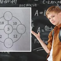 Problema suma cercurilor, imagine cu caracter ilustrativ - Foto: Captură Twitter