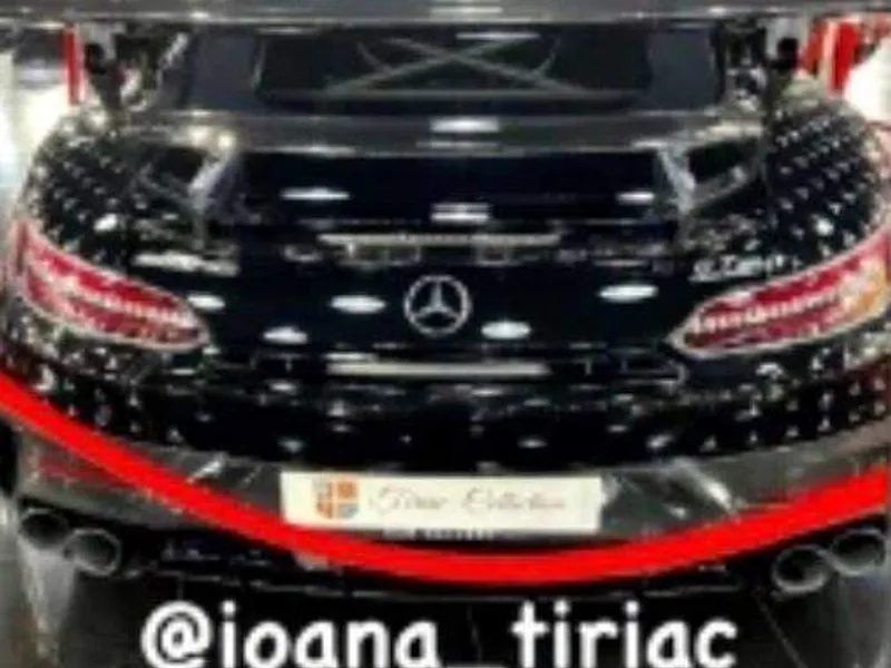 Ion Țiriac i-a făcut cadou de Crăciun fiicei sale un Mercedes AMG GT. / Foto: spynews.ro