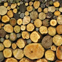 Instabilitatea legislativă și restricțiile pun pe butuci industria lemnului din România. / Foto: ccir.ro