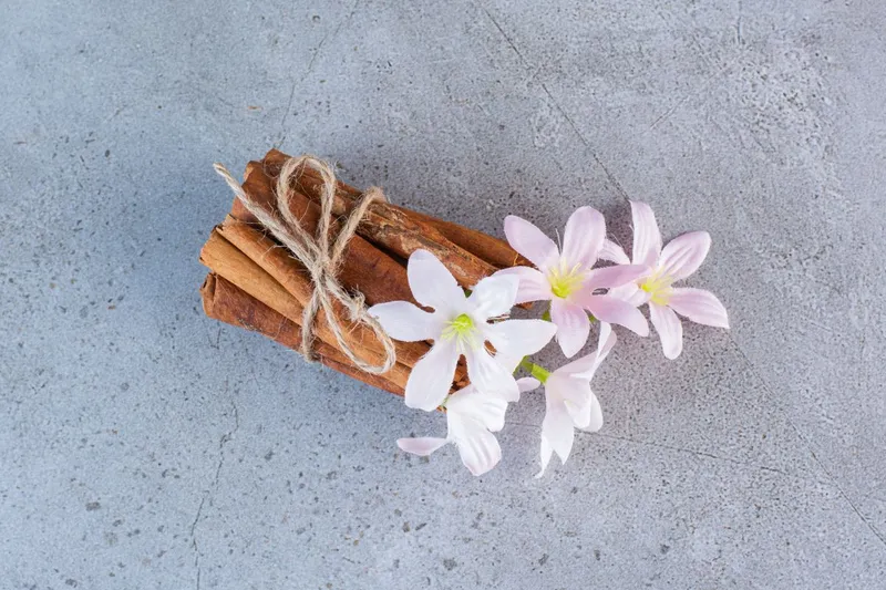 Flori şi sticks-uri de vanilie - Foto: Magnific/azerbaijan_stockers