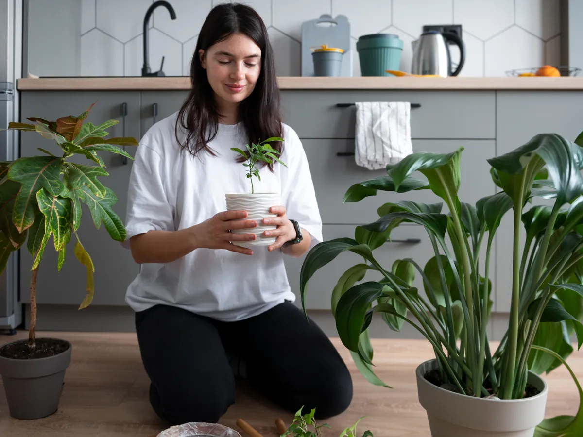 Femeie cu plante - Foto: Freepik (Imagine cu rol ilustrativ)