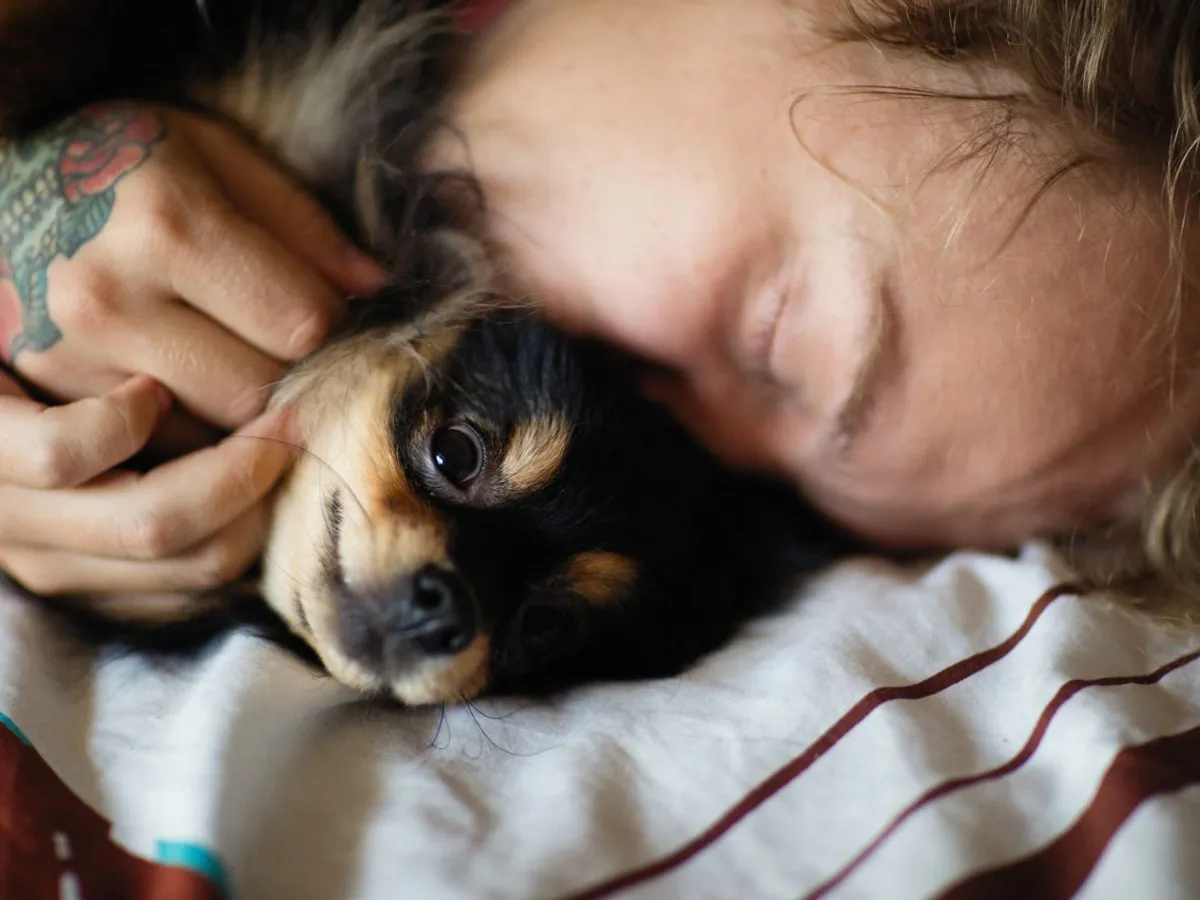 Persoană cu un câine - Foto: Pexels (Imagine cu rol ilustrativ)