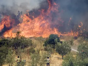 Grecia mistuită de incendiile de vegetație. Care este insula cu cele mai grave probleme? - Foto: Arhiva / imagine cu rol ilustrativ