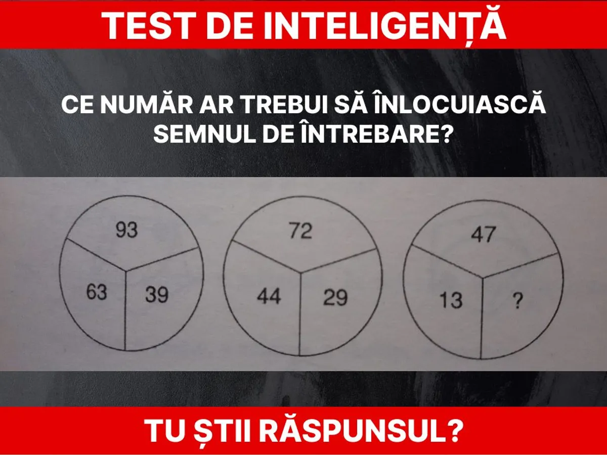 Test de inteligență Foto: Daniel Toșa
