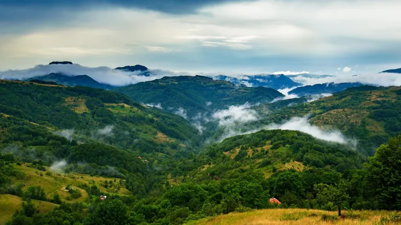 Munții Apuseni - Foto: Profimedia