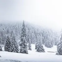 Cum va fi vremea de Crăciun și Revelion.