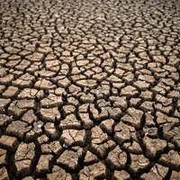 ANM îi va ajuta pe fermieri să anticipeze fenomenele meteo extreme și să optimizeze producțiile foto: Freepik (fotografie cu caracter ilustrativ)