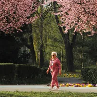 În ce oraș din România se află cea mai frumoasă stradă din Europa - FOTO: Pexels(imagine cu rol ilustrativ)