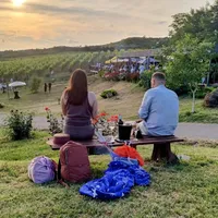 Petrecere la Velvet Winery, Dealu Mare ∙ Credit foto: Răzvan Avram