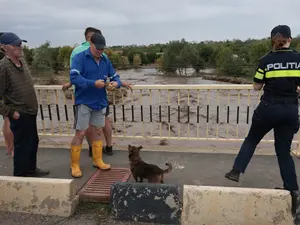 Pregătiri de EVACUARE în județul Galați. ”Ciclonul Ashley va mătura România de la vest la est” - FOTO: INQUAM PHOTOS/ George Călin (rol ilustrativ)