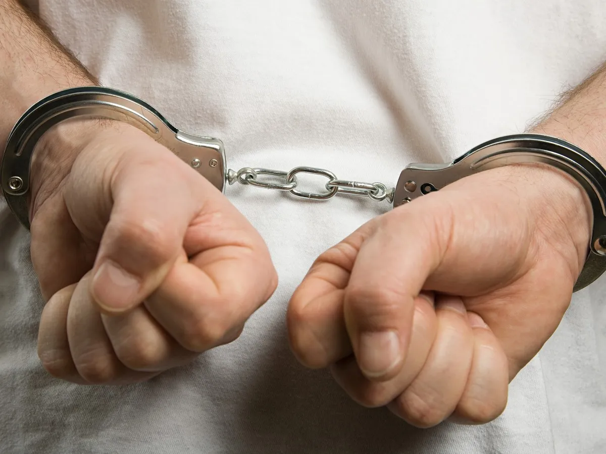 Infractorii au fost aduși în România - Foto: Profimedia Images (imagine cu rol ilustrativ)