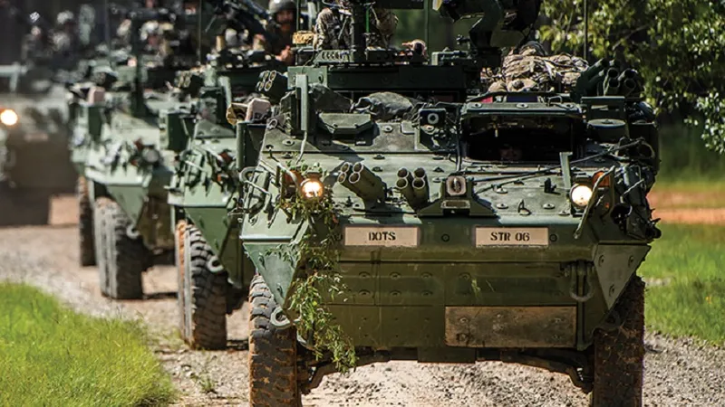Transportoare blindate Stryker Foto: nationaldefencemagazine.org