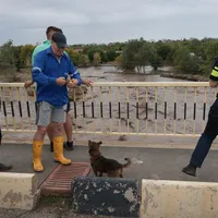 Pregătiri de EVACUARE în județul Galați. ”Ciclonul Ashley va mătura România de la vest la est” - FOTO: INQUAM PHOTOS/ George Călin (rol ilustrativ)