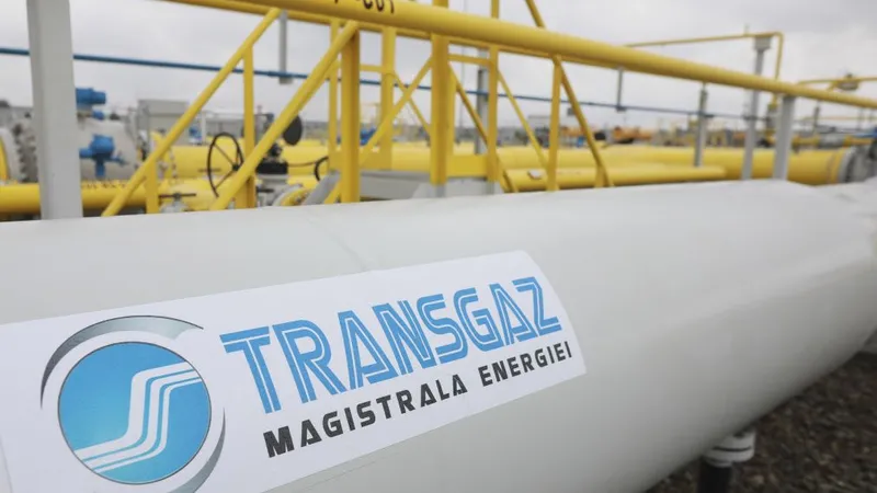 Staţia de comprimare Transgaz a gazului de la Podişor, Giurgiu - Foto: INQUAM PHOTOS/George Călin