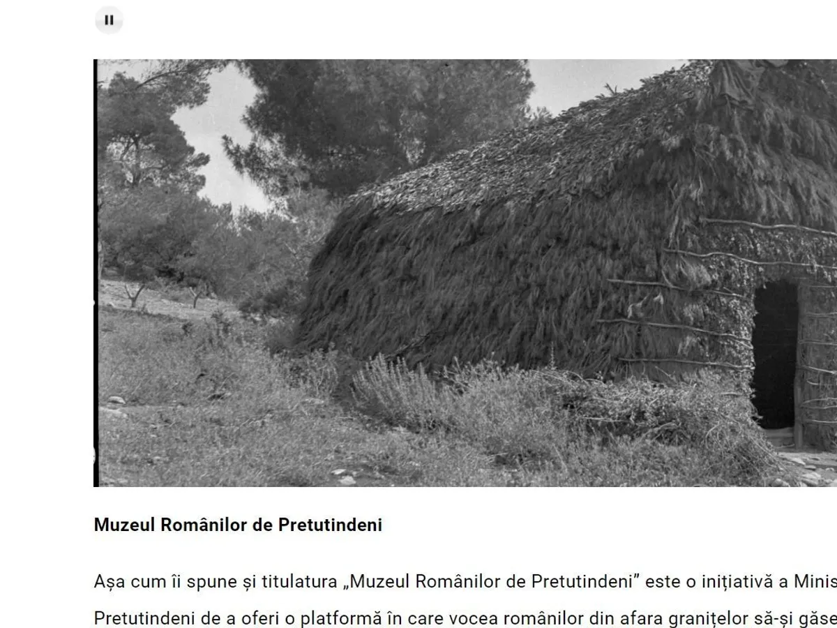 Printscreen - cum arată muzeul virtual pentru Diaspora