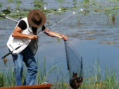 Controale masive pe Dunăre pentru combaterea pescuitului ilegal. 300 kg pește eliberat în natură  - Foto: Arhiva (imagine cu rol ilustrativ)