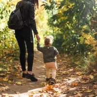 Cum pot obține familiile 2.000 de lei de la stat? Care sunt condițiile și unde te înscrii - Foto: Freepik.com (Imagine cu rol ilustrativ)