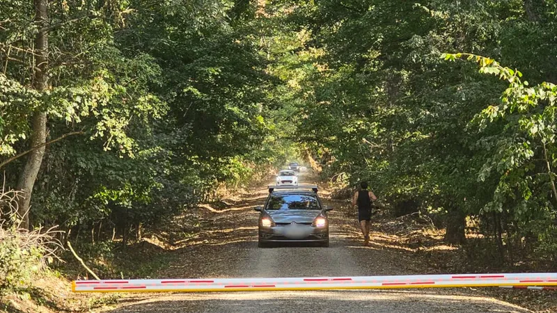 Drumul forestier din Pădurea Băneasa - Foto: Platforma Civică Împreună pentru Centura Verde