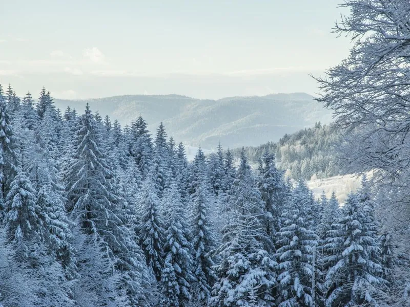 Se anunță primele ninsori - Foto: PXHere/CC0