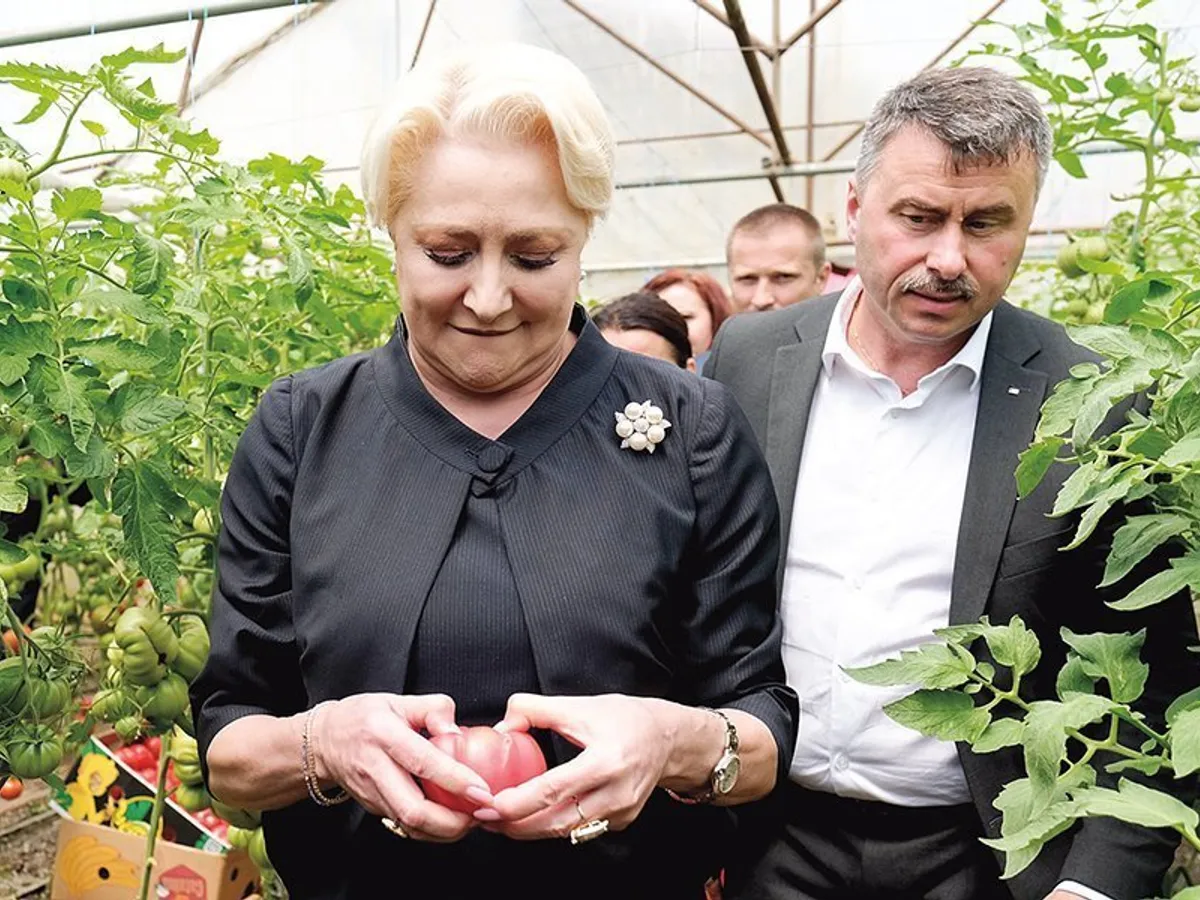Viorica Dăncilă a avut de asemenea un discurs antieuropean la mitingurile electorale