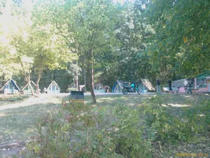 Tabăra Circ - Foto: ziaruldeiasi